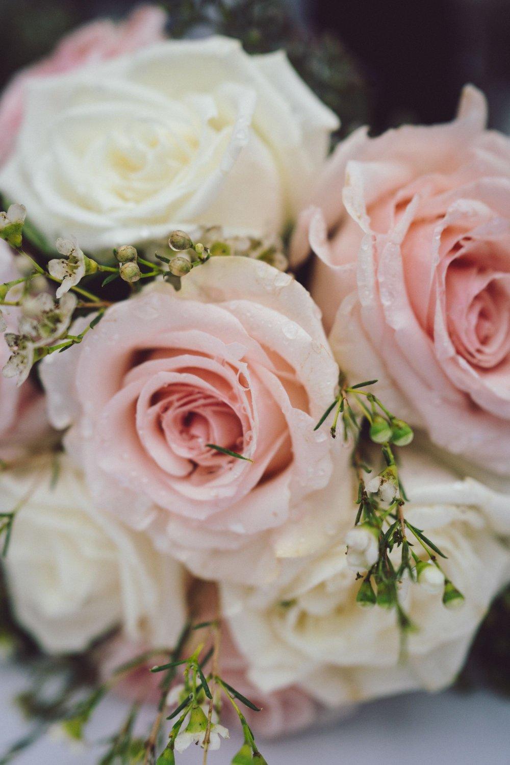 carousel-hero-element image-12